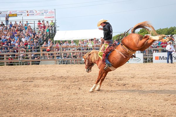 L'Art du Feu en Bushcraft : Allumer un Feu sans Allumettes ni Briquets